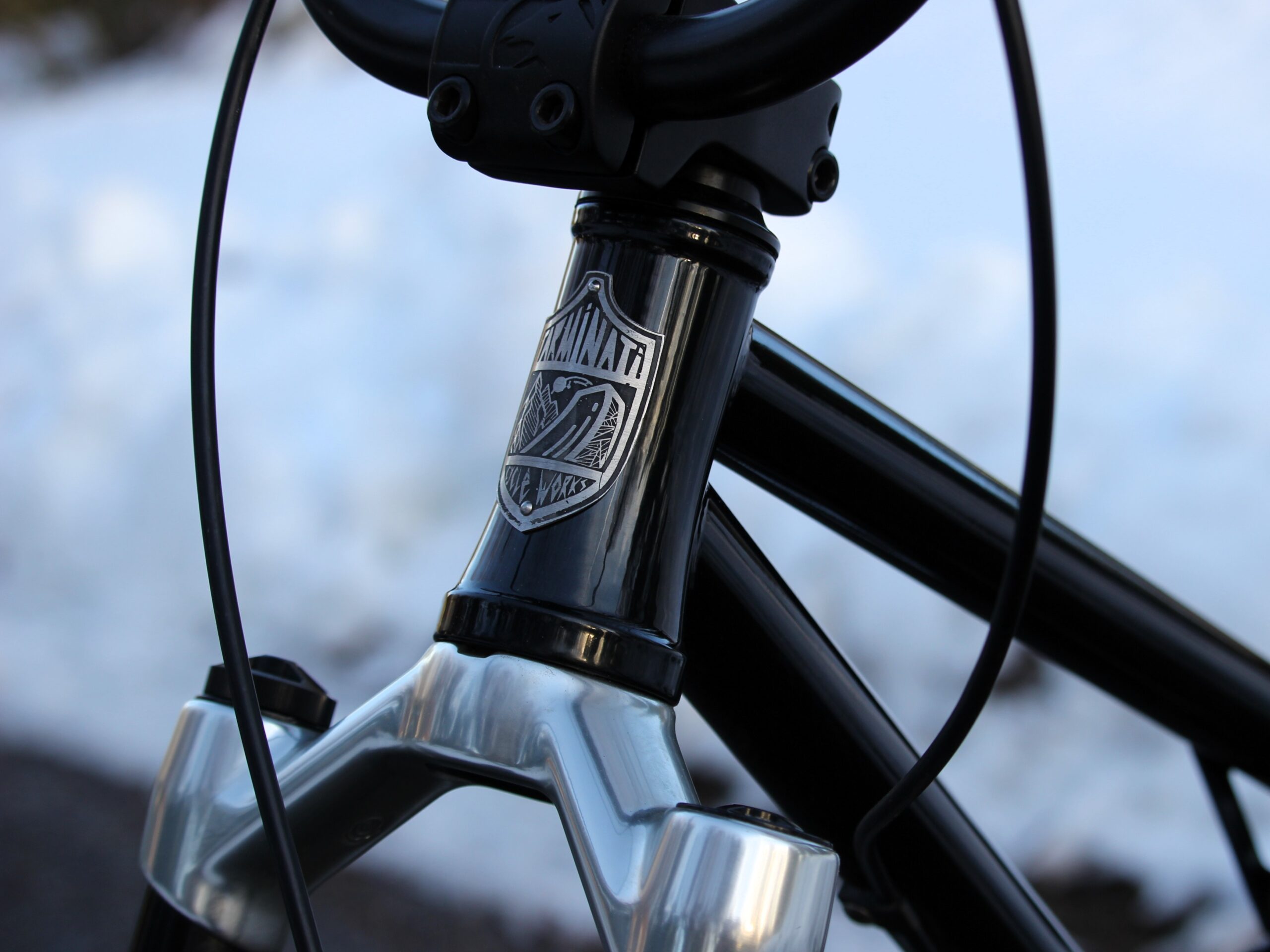 CCW IBEX Full Suspension BMX Pre-order – Image 3