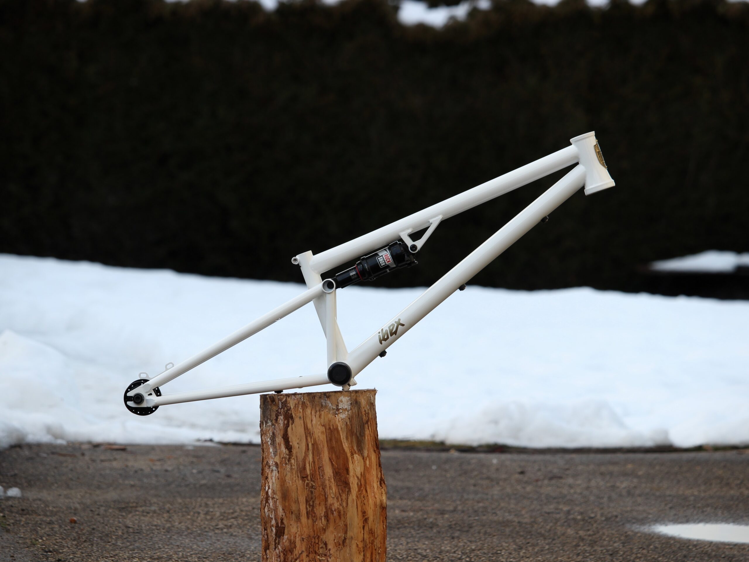 IBEX Full Suspension BMX Frame
