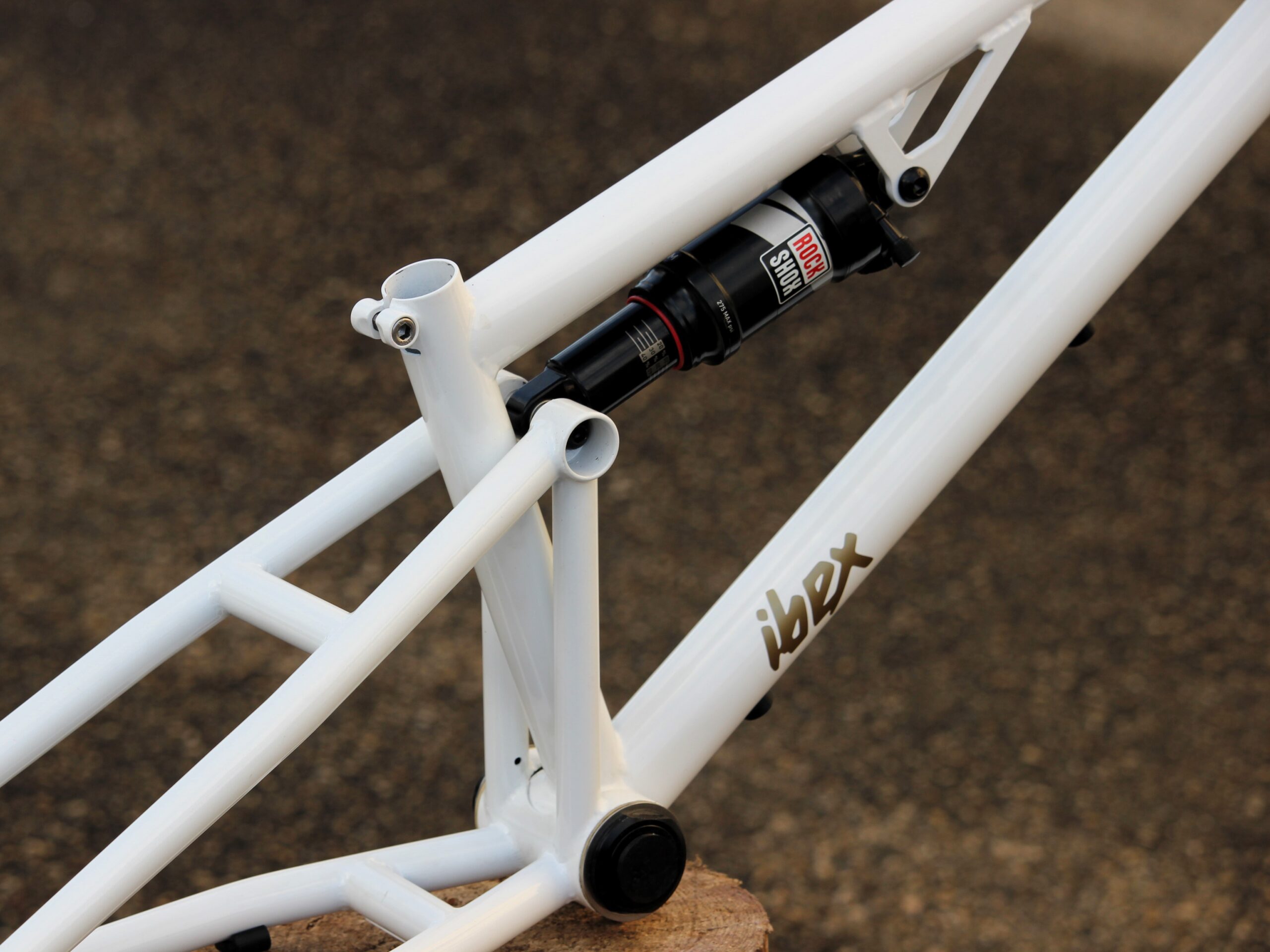IBEX Full Suspension BMX Frame