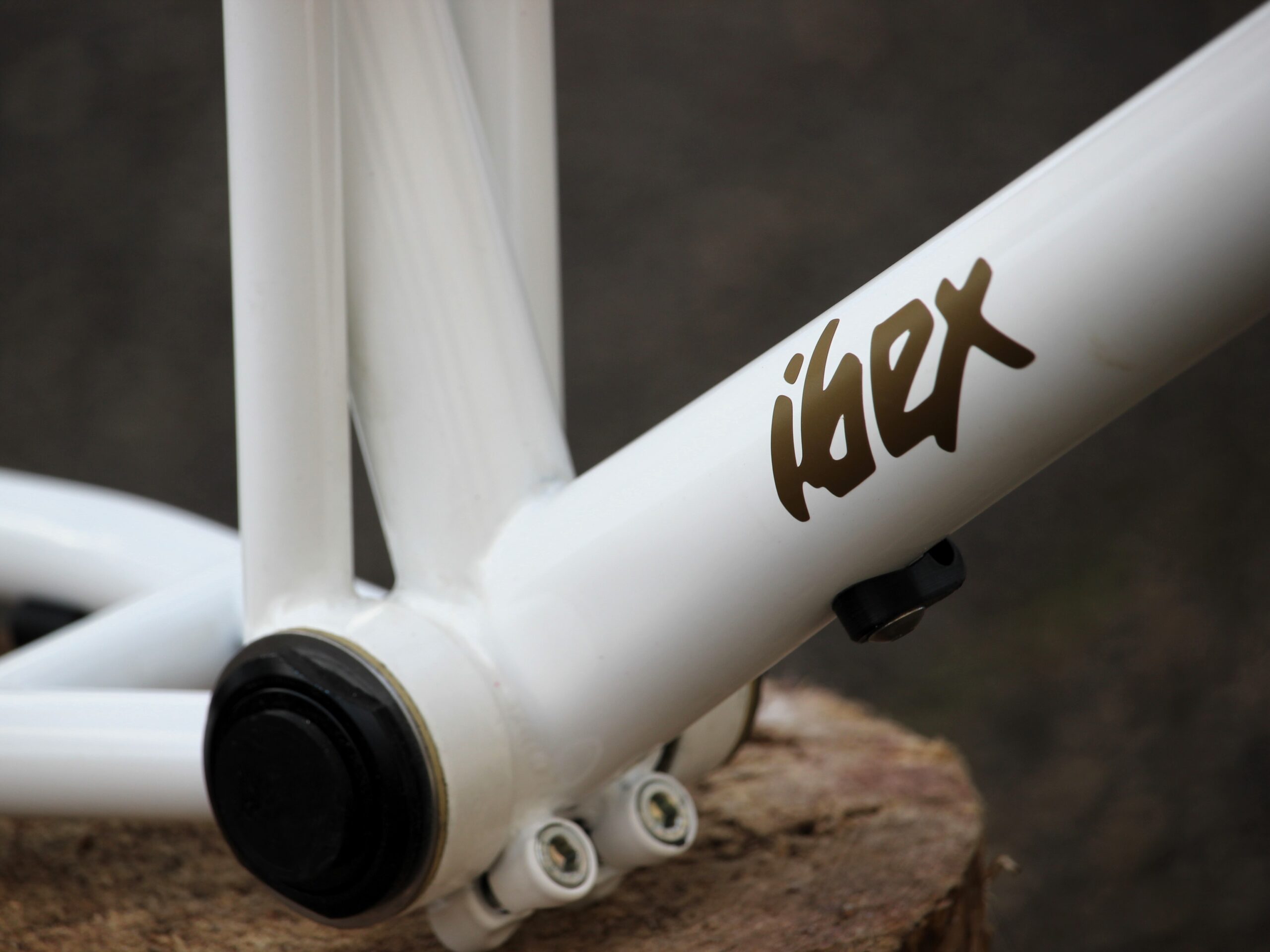 IBEX Full Suspension BMX Frame